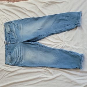 Molly and Isadora jeans size 22